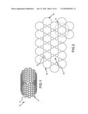 EPITAXIAL GROWTH AND CLONING OF A PRECURSOR CHIRAL NANOTUBE diagram and image