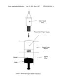 Gaseous or liquid fuel delivery spark plug diagram and image
