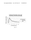 HYDROGEN GENERATOR diagram and image