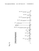 METHOD OF SEPARATING PHOSPHORYLATED PEPTIDE OR PHOSPHORYLATED PROTEIN diagram and image