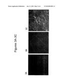 Tooth Whitening Compositions and Methods diagram and image