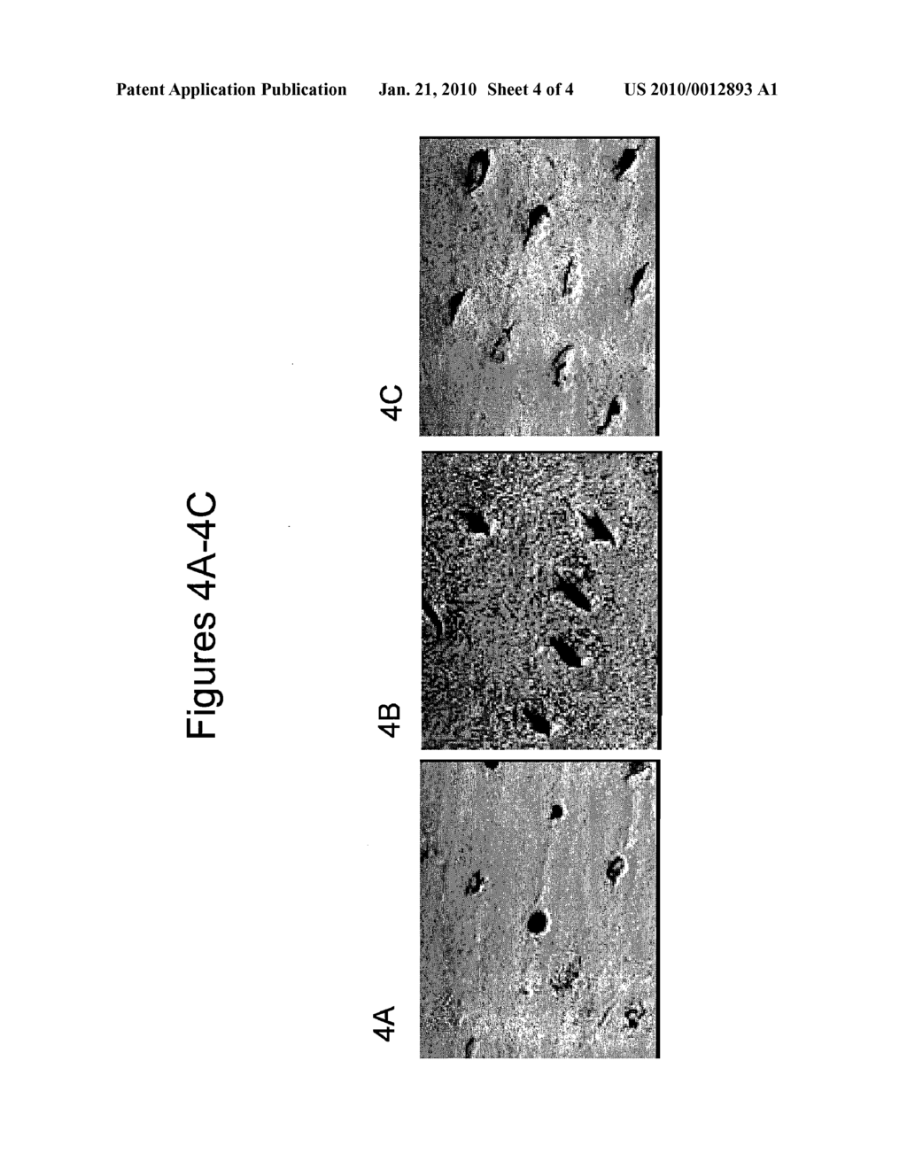 Tooth Whitening Compositions and Methods - diagram, schematic, and image 05