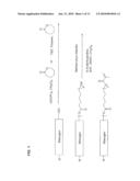 FORMULATIONS COMPRISING MESOGEN CONTAINING COMPOUNDS diagram and image