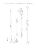 FORMULATIONS COMPRISING MESOGEN CONTAINING COMPOUNDS diagram and image