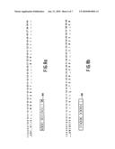 INFORMATION TRANSFER SYSTEM, A TRANSMITTER, A RECEIVER AND A RECORD CARRIER FOR USE IN THE SYSTEM diagram and image