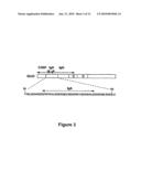 Methods and compositions for diagnosis of iga-and igm-mediated kidney diseases diagram and image