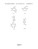 Methods and compositions for diagnosis of iga-and igm-mediated kidney diseases diagram and image