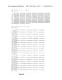 Methods and compositions for diagnosis of iga-and igm-mediated kidney diseases diagram and image