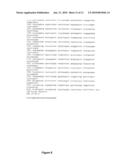 Methods and compositions for diagnosis of iga-and igm-mediated kidney diseases diagram and image