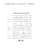 PRETREATMENT OF A BIOLOGICAL SAMPLE FROM AN AUTOIMMUNE DISEASE SUBJECT diagram and image