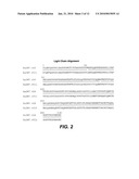 PRETREATMENT OF A BIOLOGICAL SAMPLE FROM AN AUTOIMMUNE DISEASE SUBJECT diagram and image