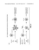 PRETREATMENT OF A BIOLOGICAL SAMPLE FROM AN AUTOIMMUNE DISEASE SUBJECT diagram and image