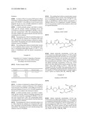 Magnetic Nanoparticles for the Application in Hyperthermia, Preparation Thereof and Use in Constructs Having a Pharmacological Application diagram and image