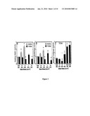 PHASE 2 INDUCERS AND RELATED SIGNALING PATHWAYS PROTECT CARTILAGE AGAINST INFLAMMATION/INFECTION, APOPTOSIS AND STRESS diagram and image