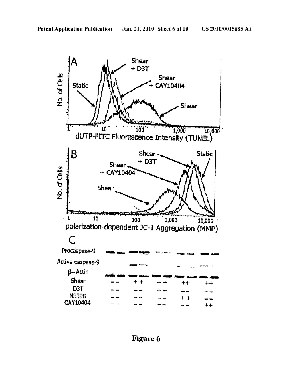 PHASE 2 INDUCERS AND RELATED SIGNALING PATHWAYS PROTECT CARTILAGE AGAINST INFLAMMATION/INFECTION, APOPTOSIS AND STRESS - diagram, schematic, and image 07