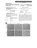 MODIFIED STAT1 TRANSGENE THAT CONFERS INTERFERON HYPERRESPONSIVENESS, METHODS AND USES THEREFOR diagram and image