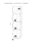 MODIFIED STAT1 TRANSGENE THAT CONFERS INTERFERON HYPERRESPONSIVENESS, METHODS AND USES THEREFOR diagram and image