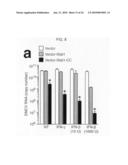 MODIFIED STAT1 TRANSGENE THAT CONFERS INTERFERON HYPERRESPONSIVENESS, METHODS AND USES THEREFOR diagram and image