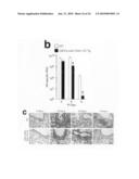 MODIFIED STAT1 TRANSGENE THAT CONFERS INTERFERON HYPERRESPONSIVENESS, METHODS AND USES THEREFOR diagram and image