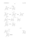 ANTIVIRAL NUCLEOSIDE ANALOGS diagram and image