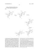 ANTIVIRAL NUCLEOSIDE ANALOGS diagram and image