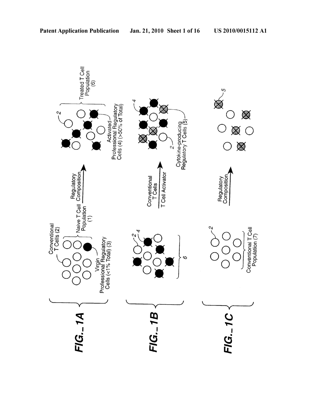 Methods for the Induction of Professional and Cytokine-Producing Regulatory T Cells - diagram, schematic, and image 02