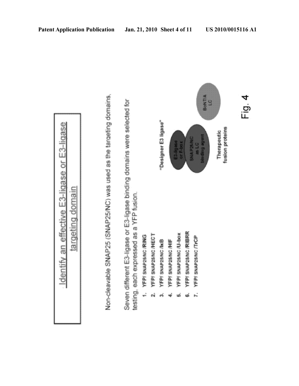 Designer Ubiquitin Ligases For Regulation Of Intracellular Pathogenic Proteins - diagram, schematic, and image 05