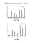 GRP78 as a Predictor of Responsiveness to Therapeutic Agents diagram and image