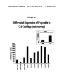 Methods of using F-spondin as a biomarker for cartilage degenerative conditions and bone diseases diagram and image