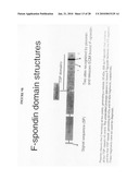 Methods of using F-spondin as a biomarker for cartilage degenerative conditions and bone diseases diagram and image