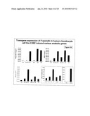 Methods of using F-spondin as a biomarker for cartilage degenerative conditions and bone diseases diagram and image