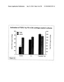 Methods of using F-spondin as a biomarker for cartilage degenerative conditions and bone diseases diagram and image