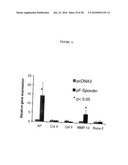 Methods of using F-spondin as a biomarker for cartilage degenerative conditions and bone diseases diagram and image