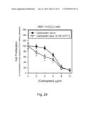 Inhibitor Compounds and Cancer Treatment Methods diagram and image