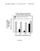 Inhibitor Compounds and Cancer Treatment Methods diagram and image