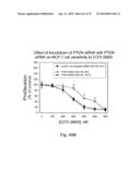 Inhibitor Compounds and Cancer Treatment Methods diagram and image