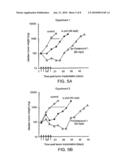 COMBINATION OF EPOTHILONE ANALOGS AND CHEMOTHERAPEUTIC AGENTS FOR THE TREATMENT OF PROLIFERATIVE DISEASES diagram and image