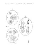 DISH CODING SYSTEM diagram and image