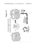 PRODUCTION OF BIOLOGICAL CARRIERS FOR INDUCTION OF IMMUNE RESPONSE AND INHIBITION OF VIRAL REPLICATION diagram and image