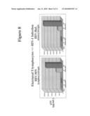 PRODUCTION OF BIOLOGICAL CARRIERS FOR INDUCTION OF IMMUNE RESPONSE AND INHIBITION OF VIRAL REPLICATION diagram and image