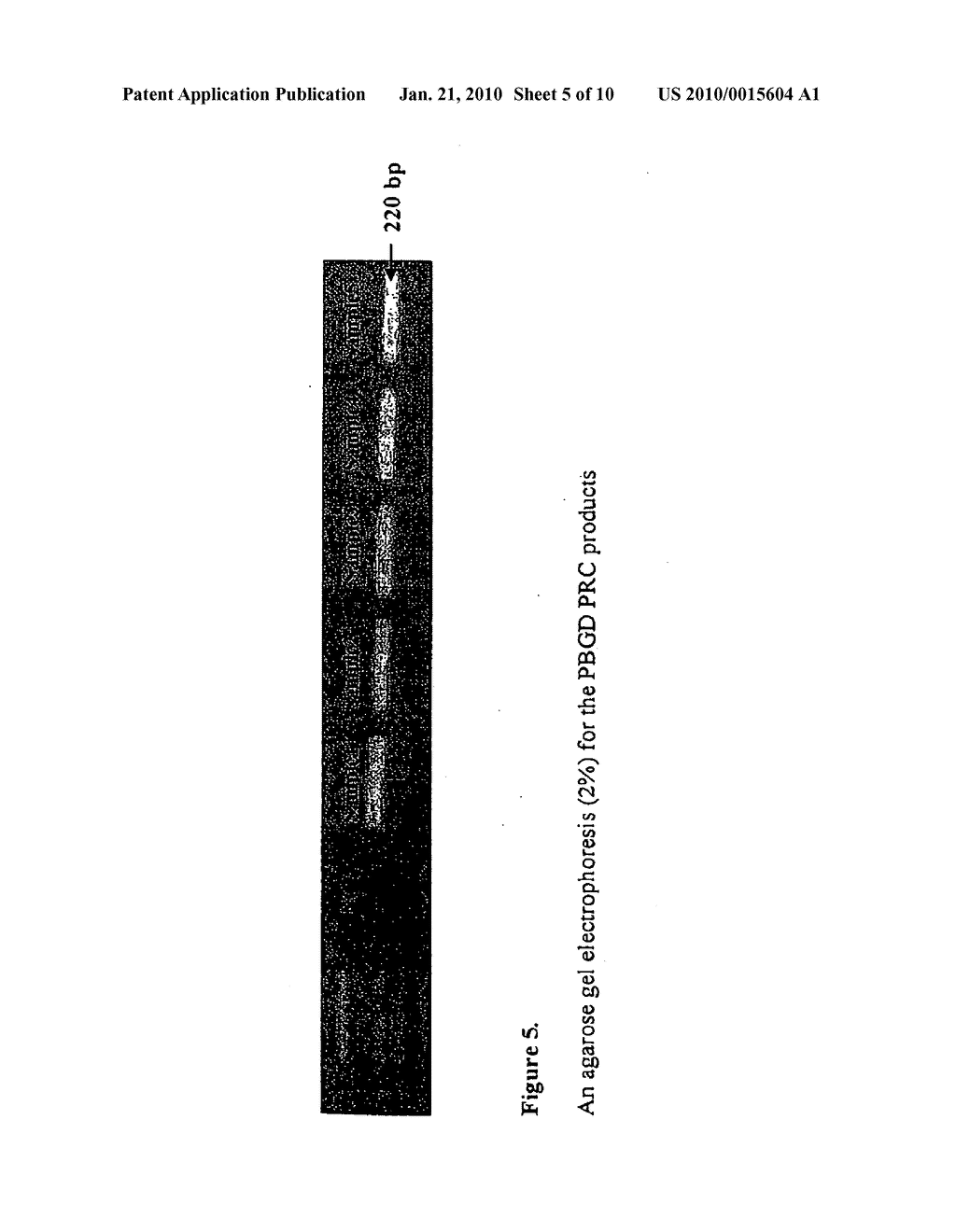 Composition and method for determination of ck19 expression - diagram, schematic, and image 06