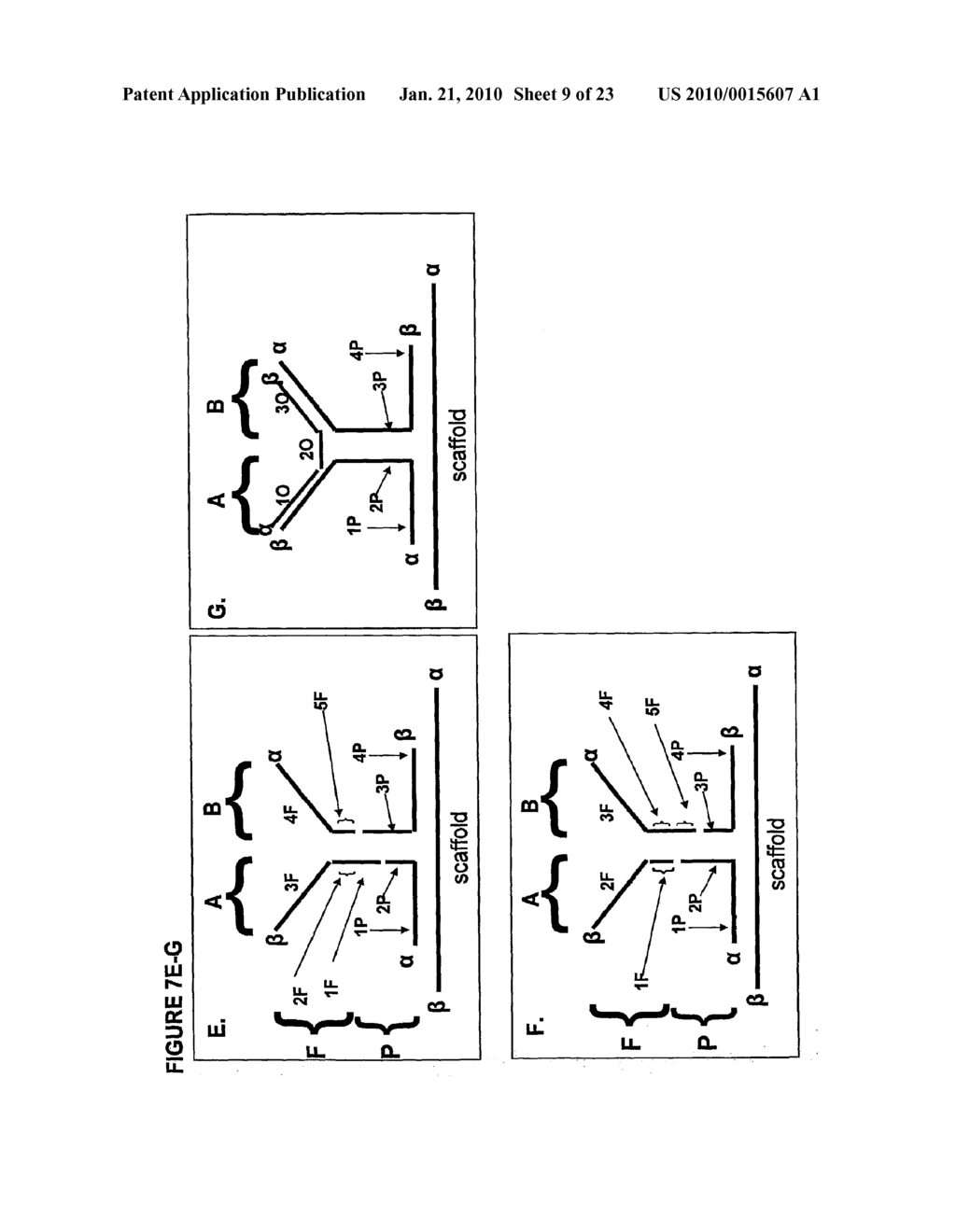 NANOREPORTERS AND METHODS OF MANUFACTURING AND USE THEREOF - diagram, schematic, and image 10