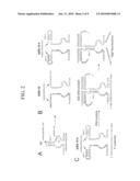 BINARY DEOXYRIBOZYME PROBES FOR NUCLEIC ACID ANALYSIS diagram and image