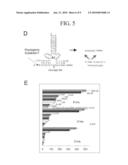 BINARY DEOXYRIBOZYME PROBES FOR NUCLEIC ACID ANALYSIS diagram and image