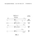 Identification and Isolation of Adult Stem Cells and Related Methods of Use diagram and image