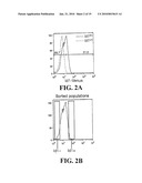 Identification and Isolation of Adult Stem Cells and Related Methods of Use diagram and image