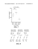 Identification and Isolation of Adult Stem Cells and Related Methods of Use diagram and image