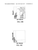 Identification and Isolation of Adult Stem Cells and Related Methods of Use diagram and image