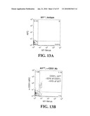 Identification and Isolation of Adult Stem Cells and Related Methods of Use diagram and image