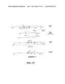 Identification and Isolation of Adult Stem Cells and Related Methods of Use diagram and image